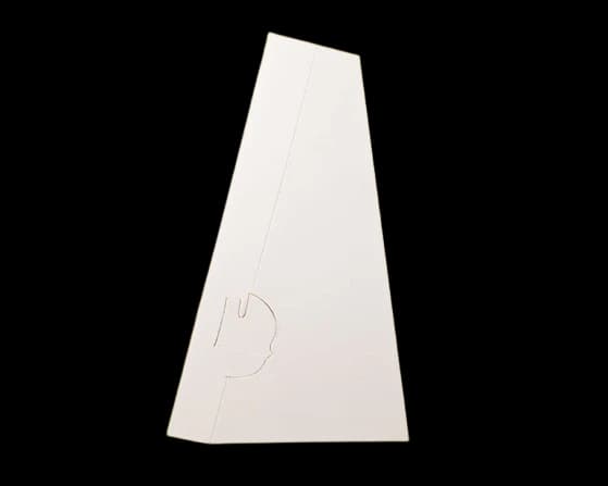 Image Locking Struts