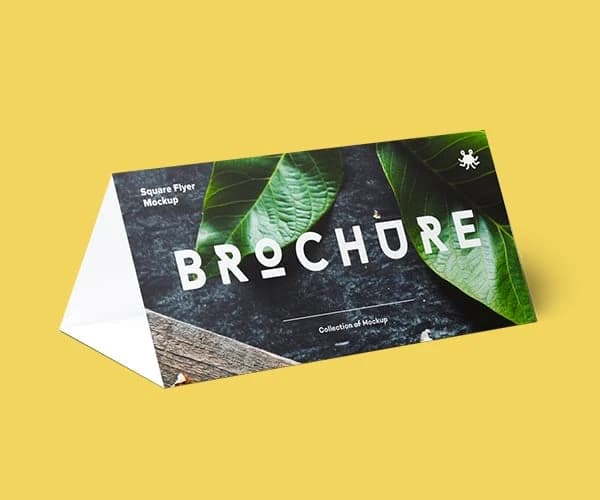 Mini menu cards and folded print packaging