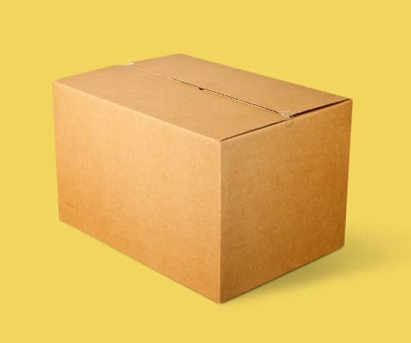 Standard RSC cardboard shipping carton