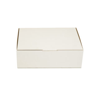 Medium Mailing Box White (Bundle of 25) 310x225x102mm