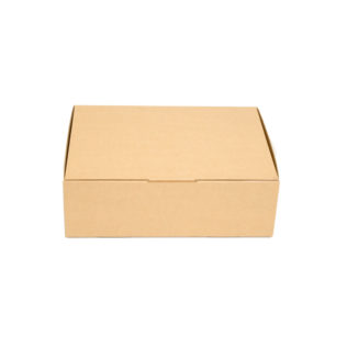 Medium Mailing Box Brown (Bundle of 25) 310x225x102mm
