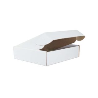 TSW Large Mailing Box White (Bundle of 25)