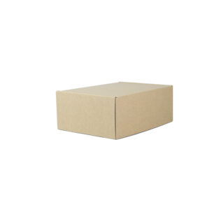 TSW Medium Mailing Box Brown (Bundle of 25) 260x190x100mm