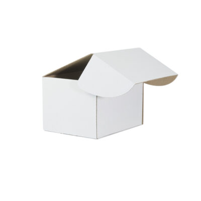 TSW Small Mailing Box White