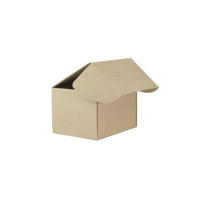 TSW Small Mailing Box Brown